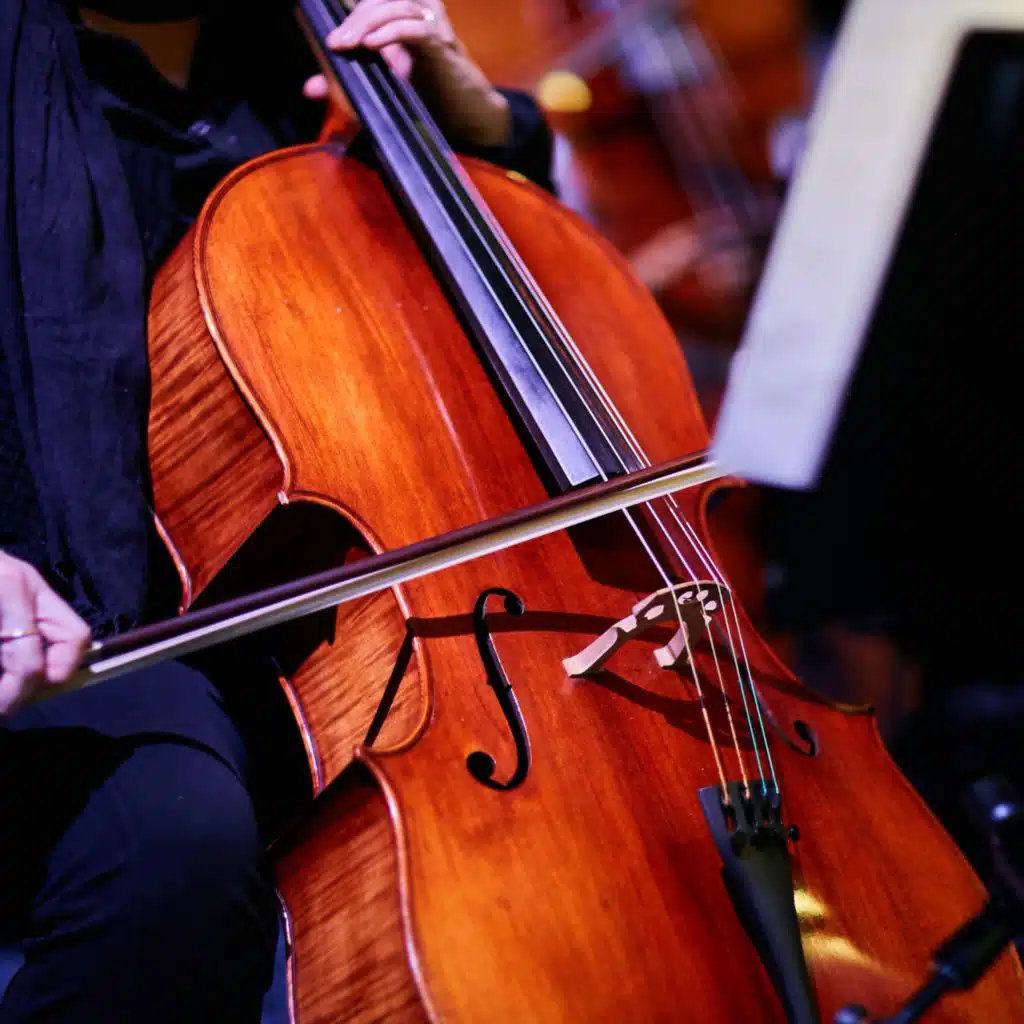 Orchestra Sunset: Symphony of Tranquility