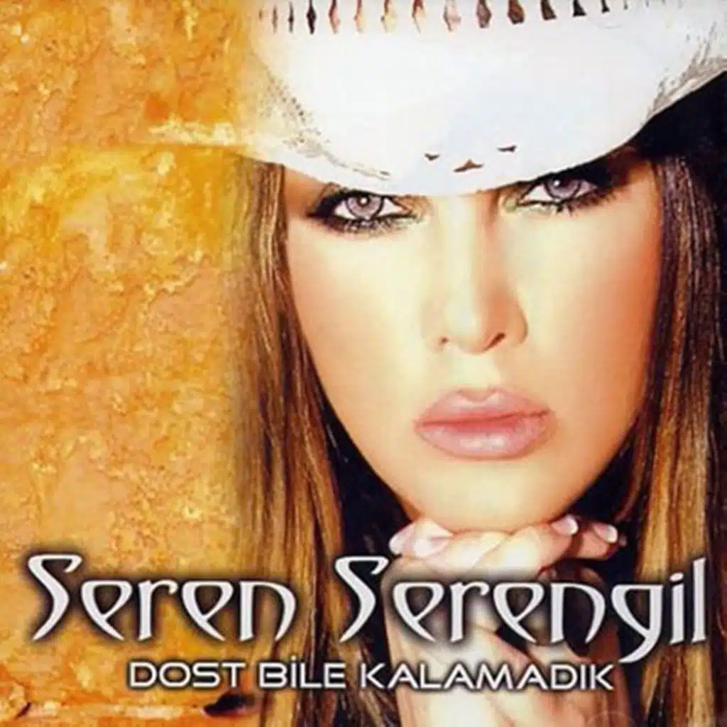 Dost Bile Kalamadık