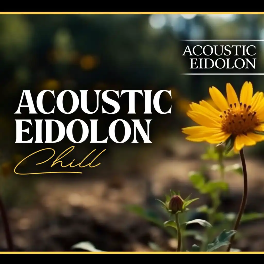 Acoustic Eidolon