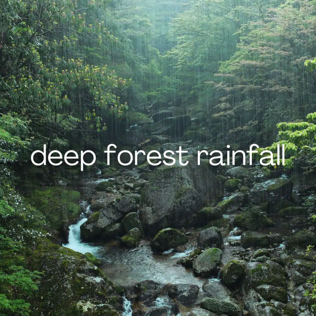 Deep Forest Rainfall