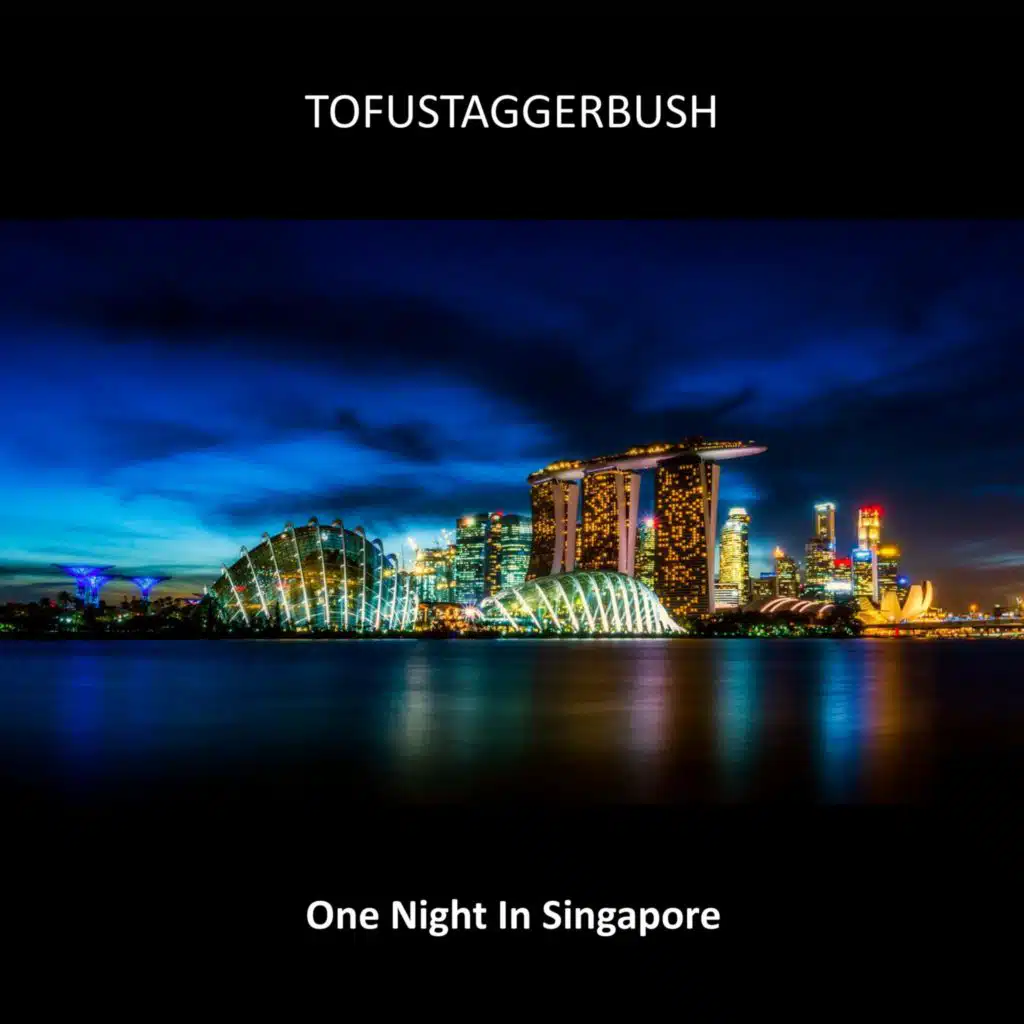 One Night In Singapore