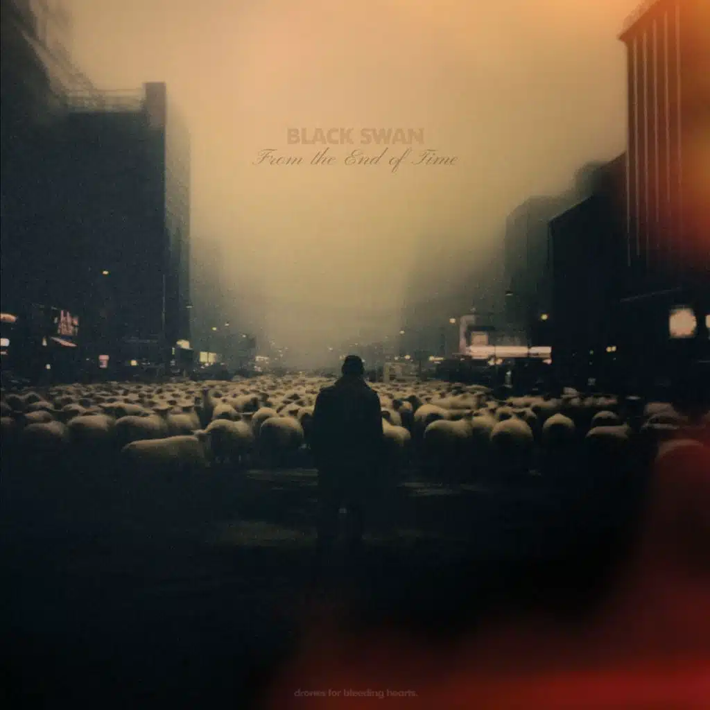 Black Swan (Drones for Bleeding Hearts)