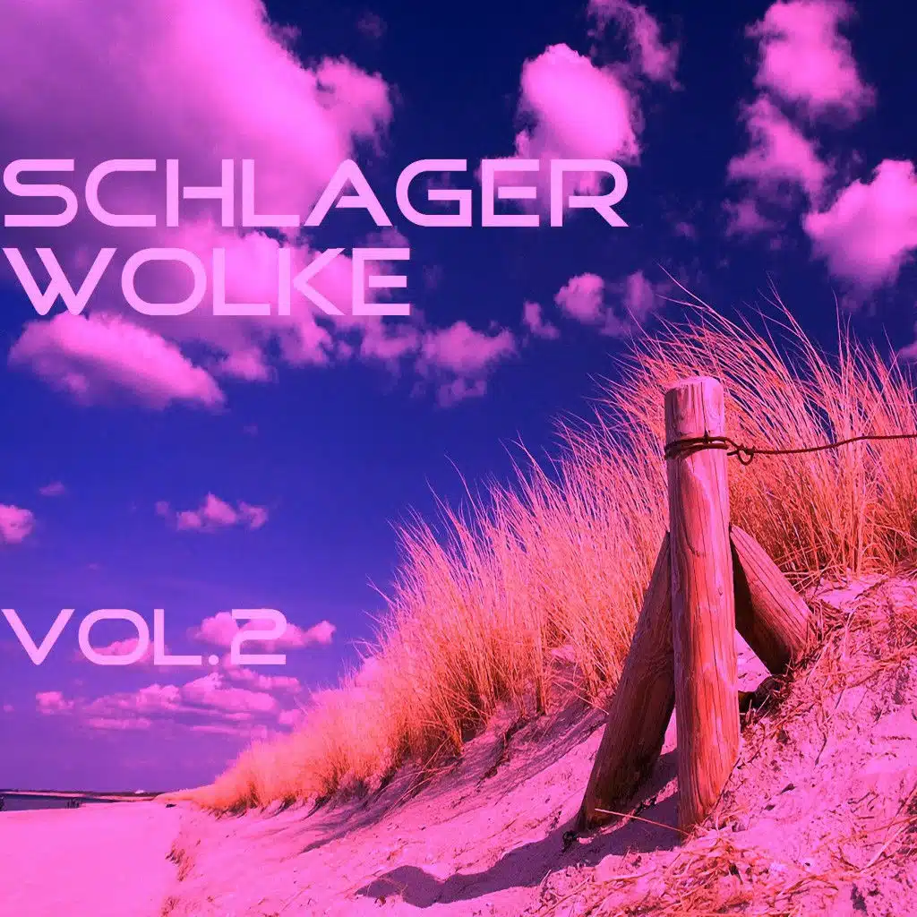 Schlagerwolke, Vol. 2