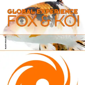 Fox & Koi (Roger Shah & Brian Laruso Mix)