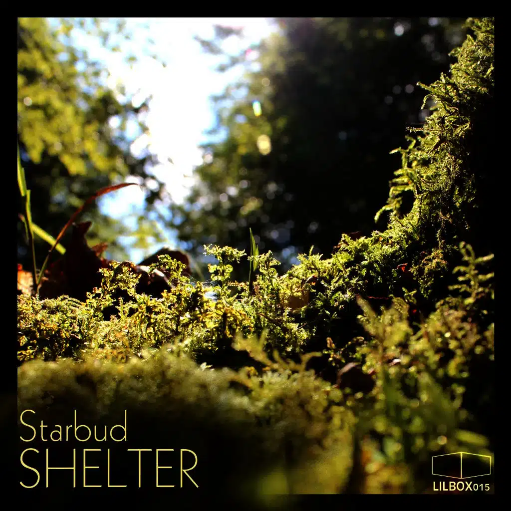 Shelter