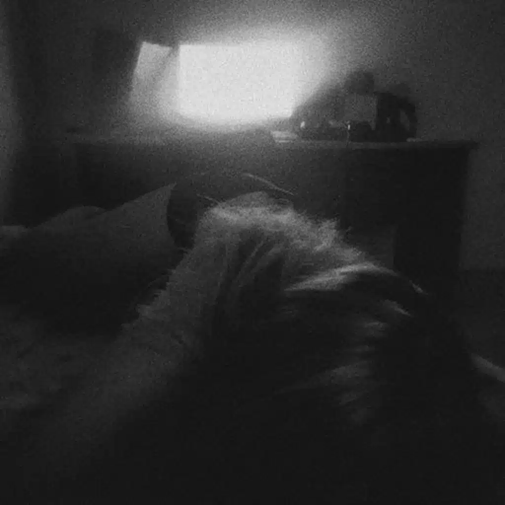 alone in this void