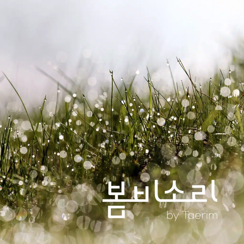 봄비소리 (The Sound of Spring Rain)