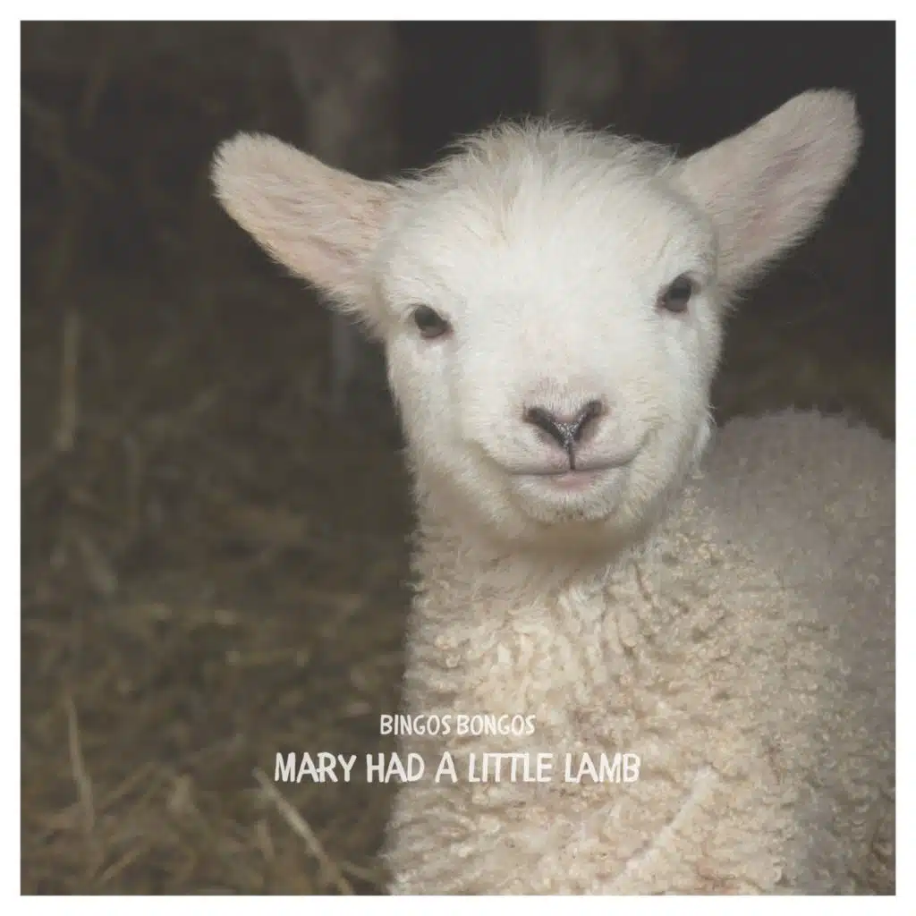 Mary Had A Little Lamb