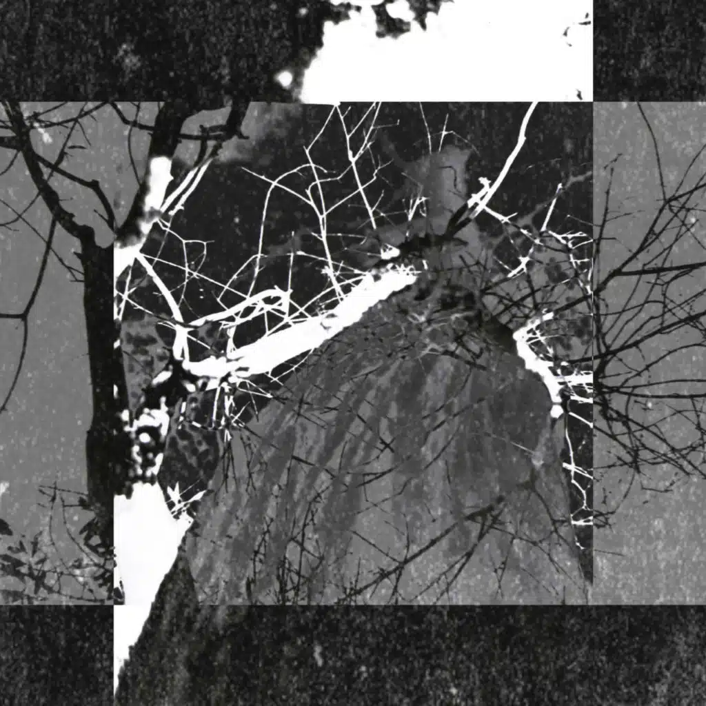 Tanatofobia