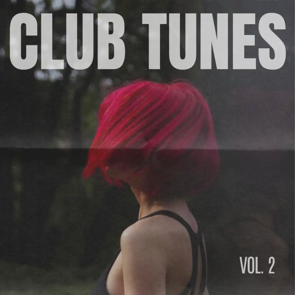 Club Tunes Vol.2