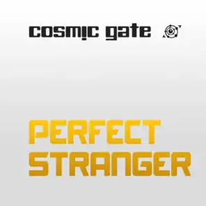 Perfect Stranger (Extended Mix)