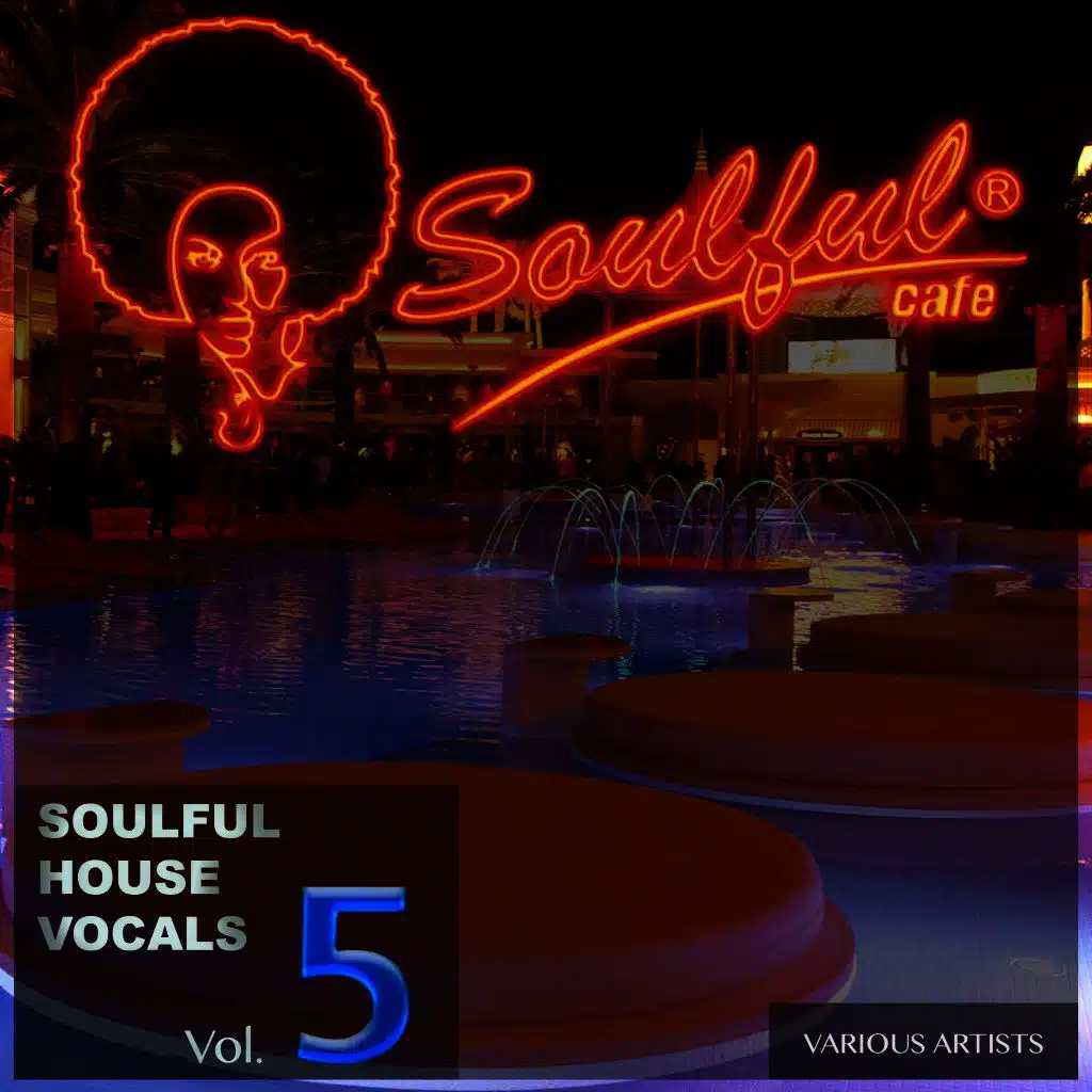 Soulful House Vocals, Vol. 5