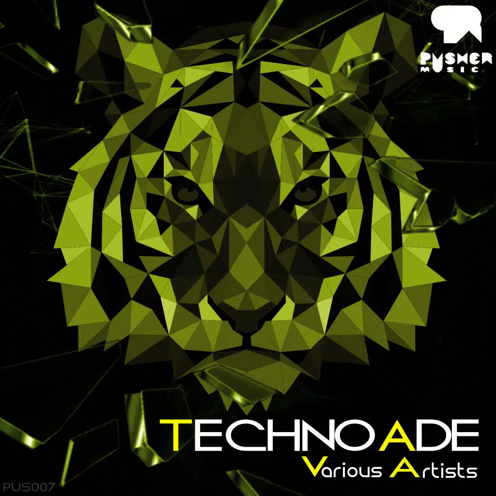 Techno Ade 2015