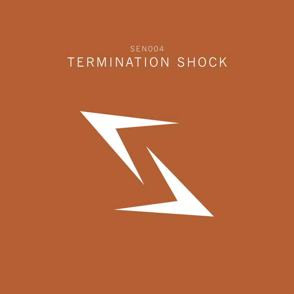 Termination Shock