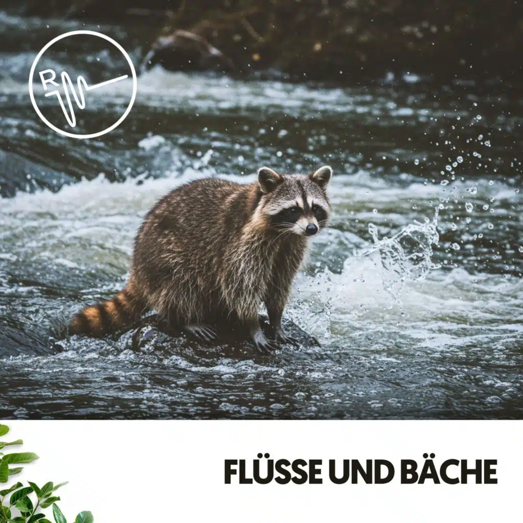 Flüsse und Bäche: Melodien des fließenden Wassers