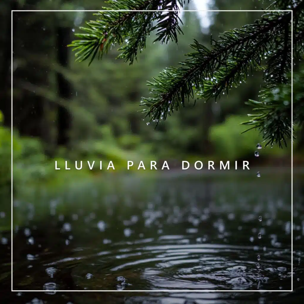 Paz del Crepúsculo Flotante