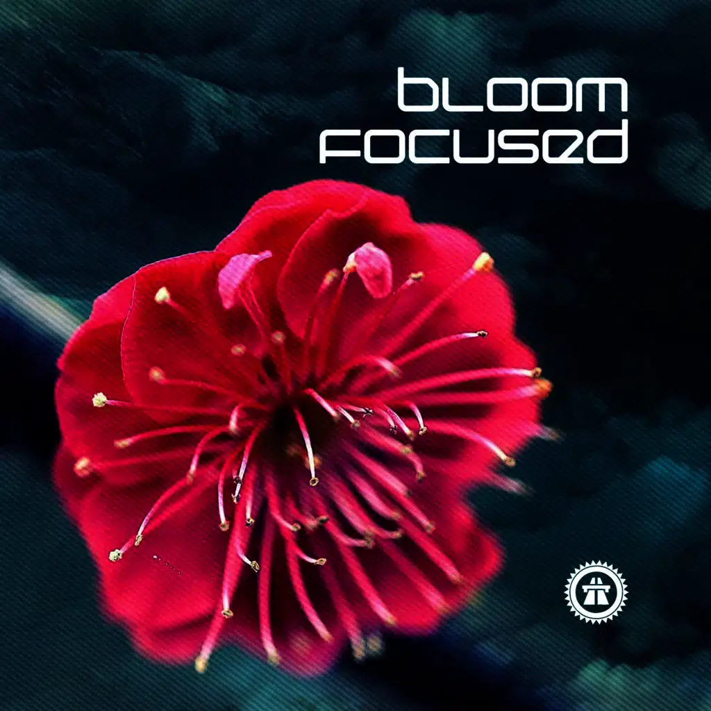 Bloom Focused