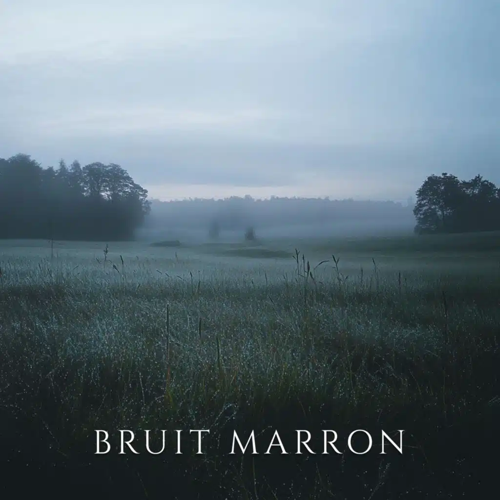 Matin brumeux (feat. Anti Stress)