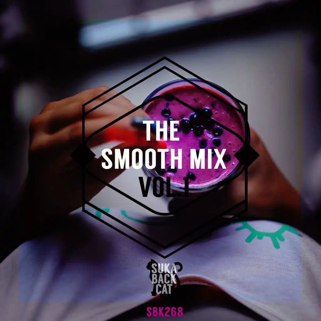 The Smooth Mix, Vol. 1