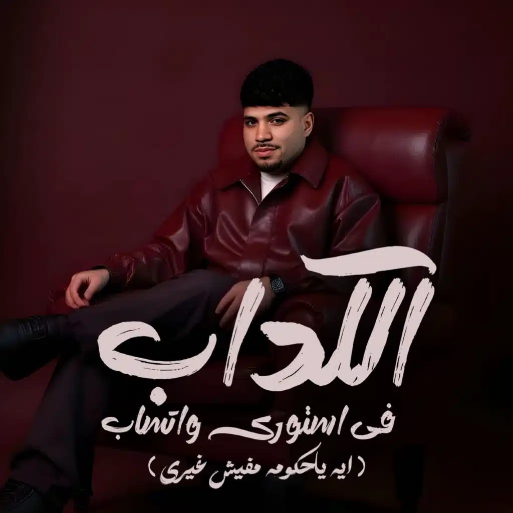 الكداب فى استورى واتساب ( ايه ياحكومة مفيش غيرى )