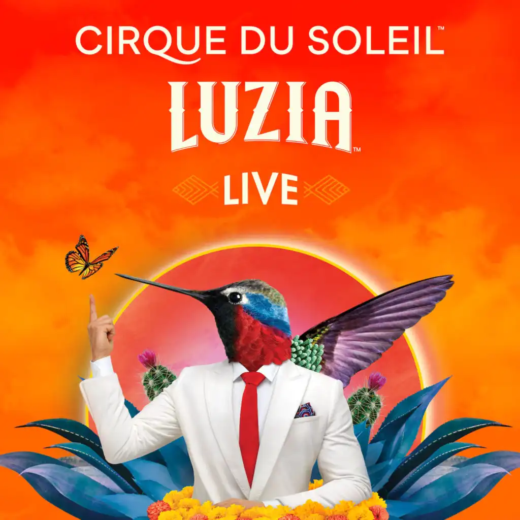 Cirque Du Soleil