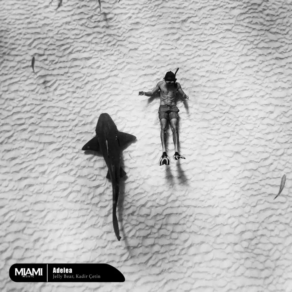 Kadir Çetin & Jelly Bear