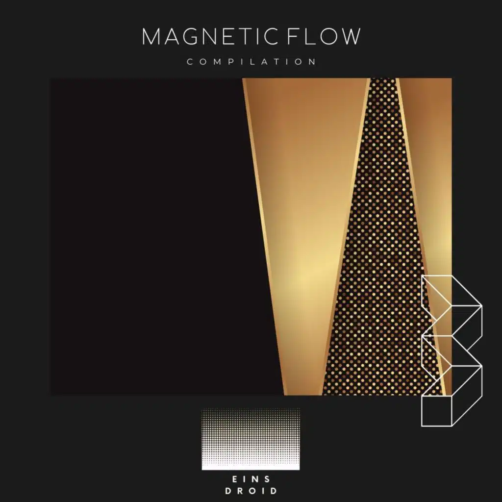 Magnetic Flow
