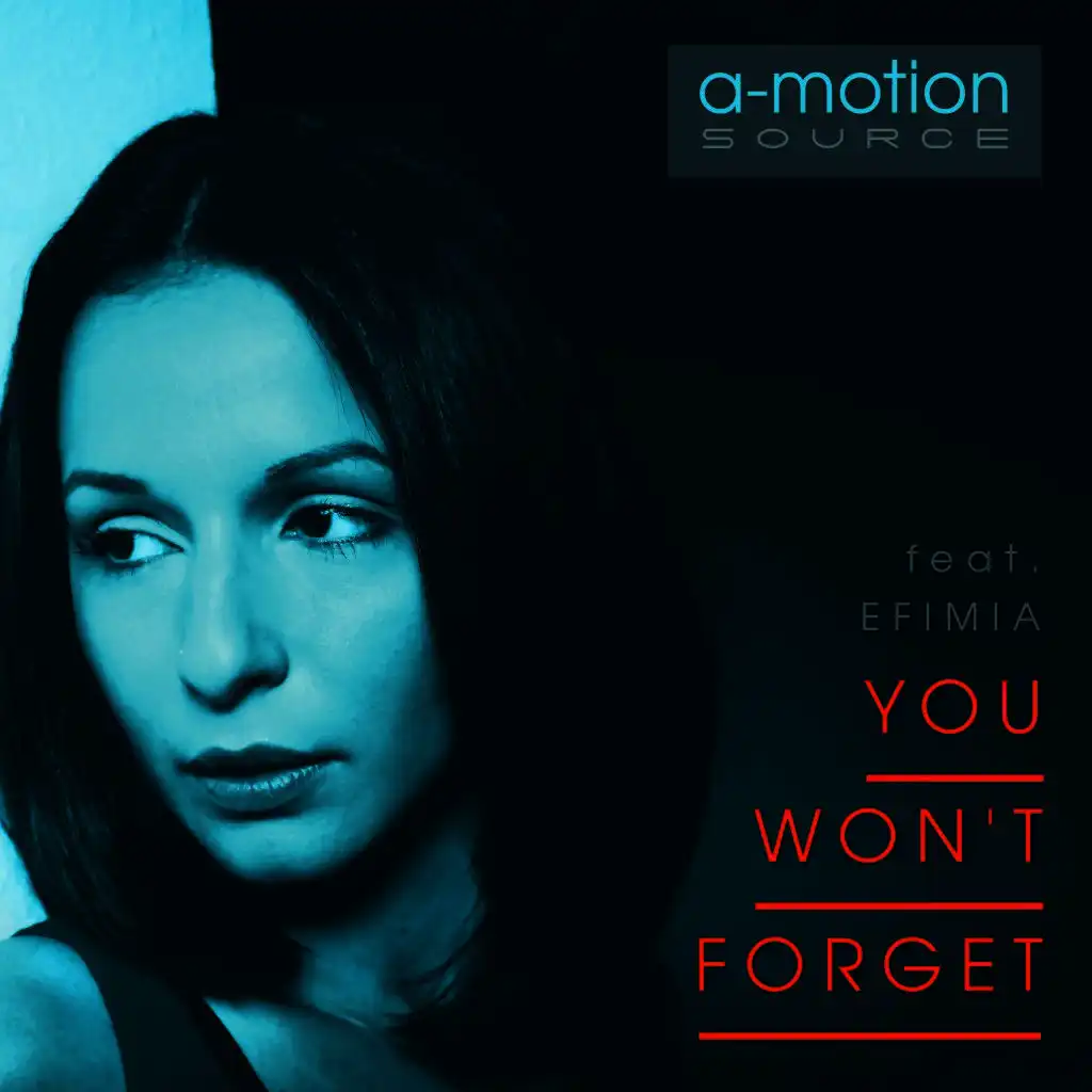 You Won't Forget (Radio Edit)