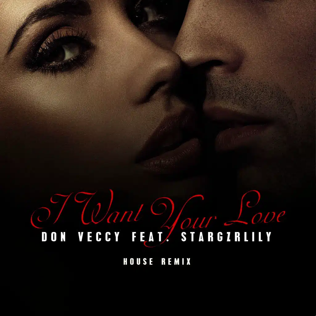 Don Veccy feat. Stargzrlily