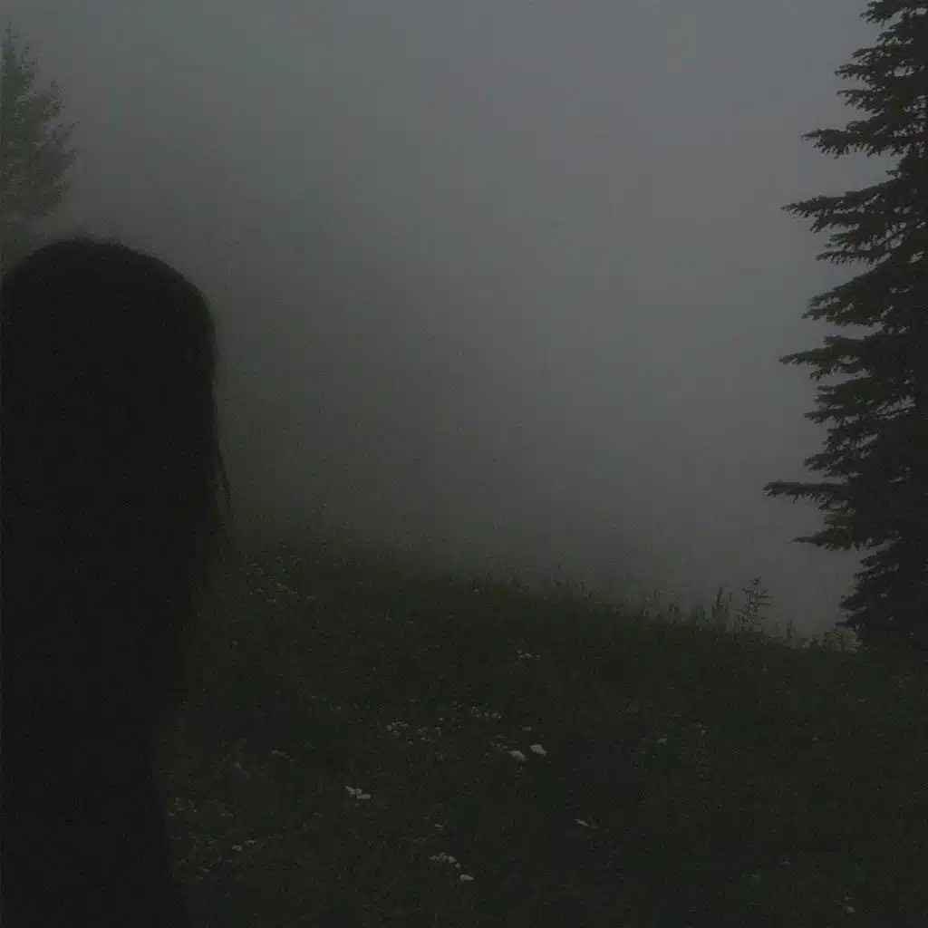 notneversleep, shameless & feel it