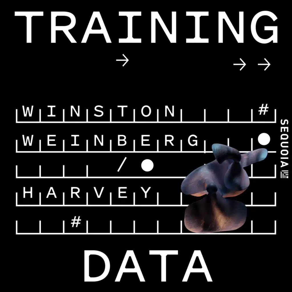 How AI Breakout Harvey is Transforming Legal Services, with CEO Winston Weinberg