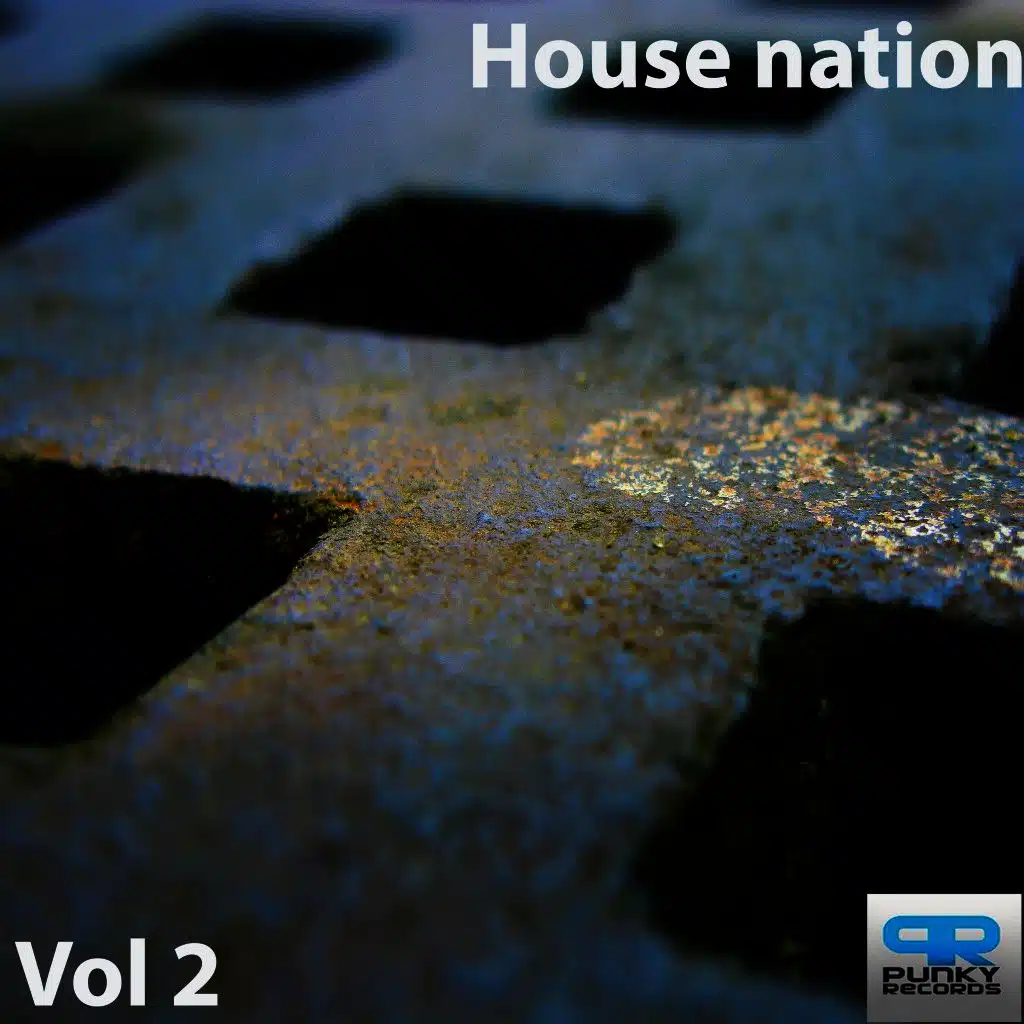 House Nation, Vol. 2