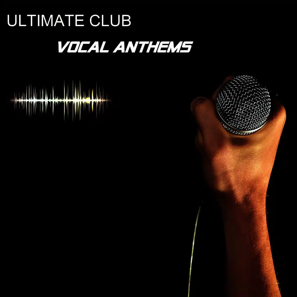 Summer Cry (Nikola N Remix)