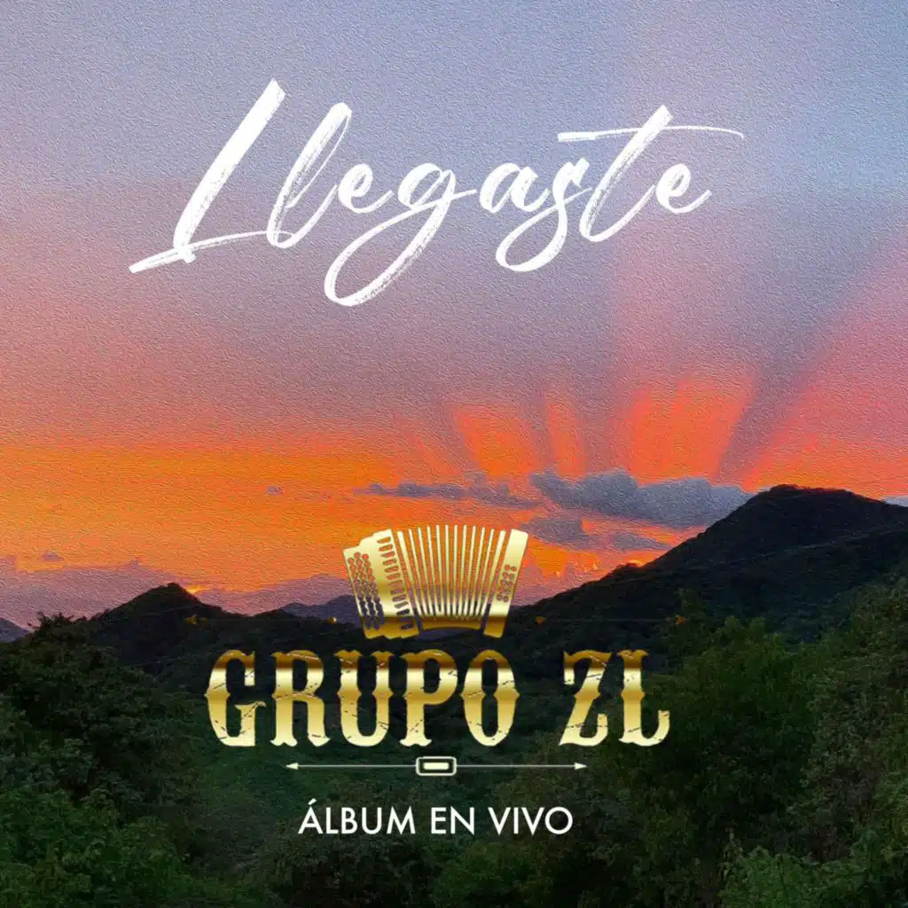 Llegaste (En Vivo)
