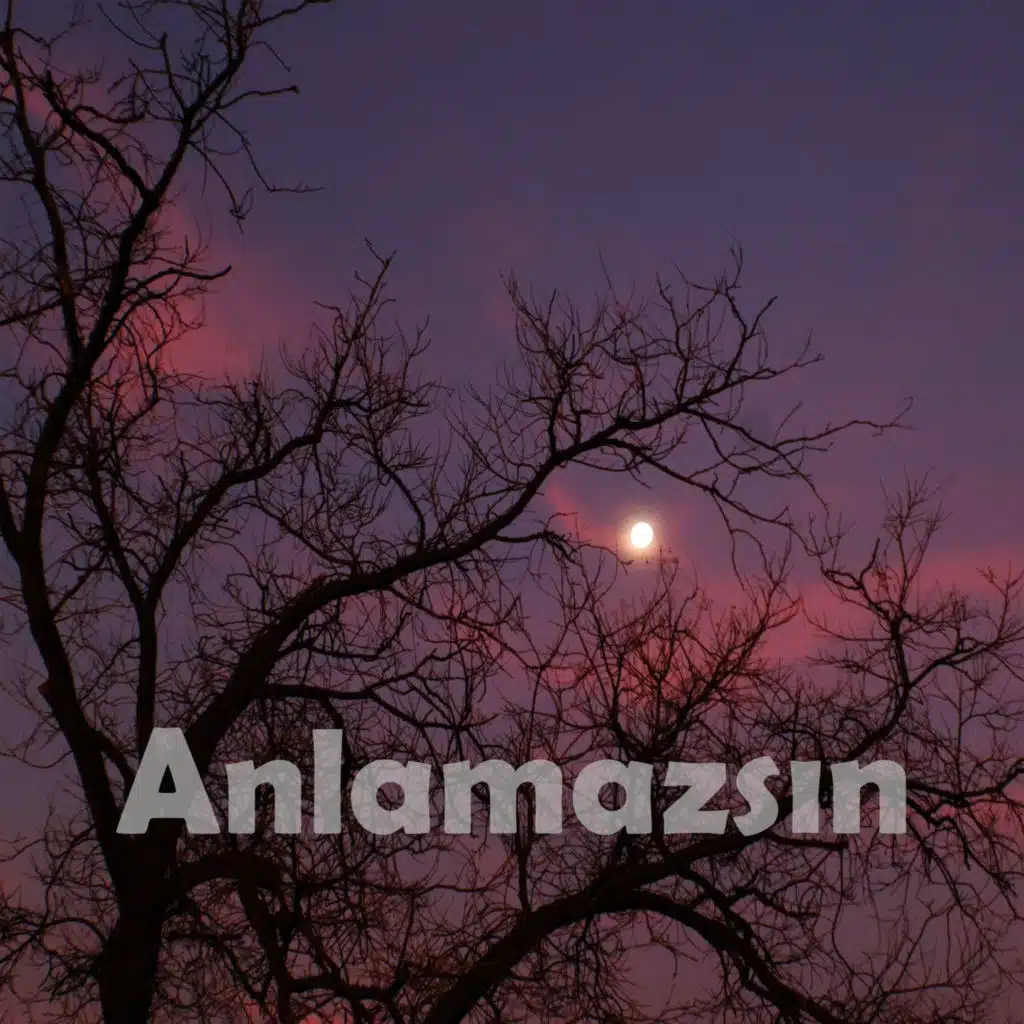 Anlamazsın