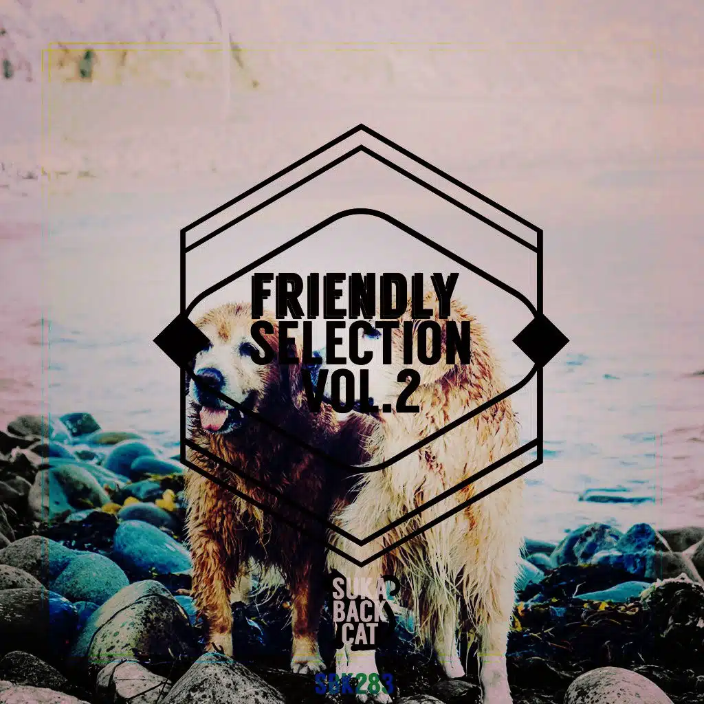 Friendly Selection, Vol. 2