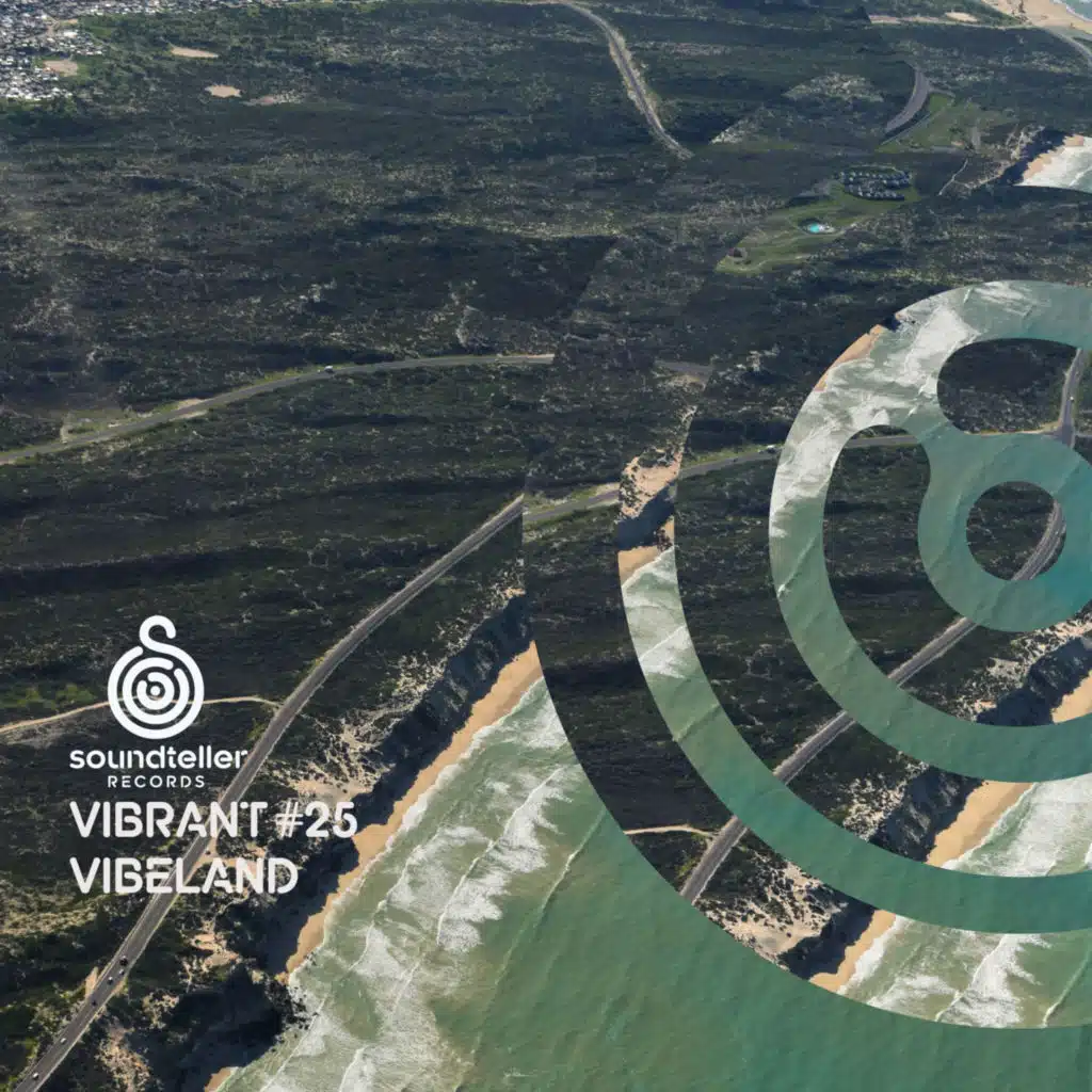 Vibrant Vibeland #25