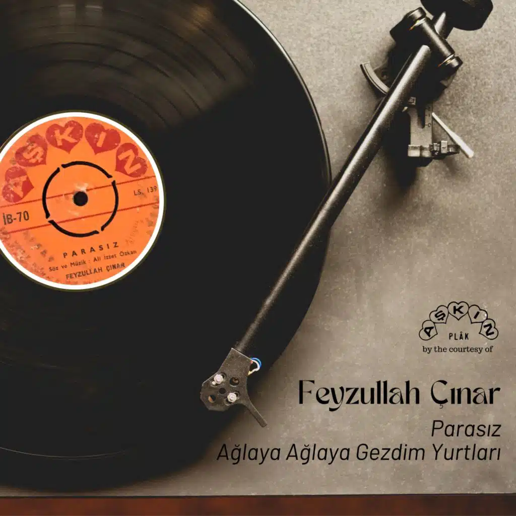 Parasız / Ağlaya Ağlaya Gezdim Yurtları