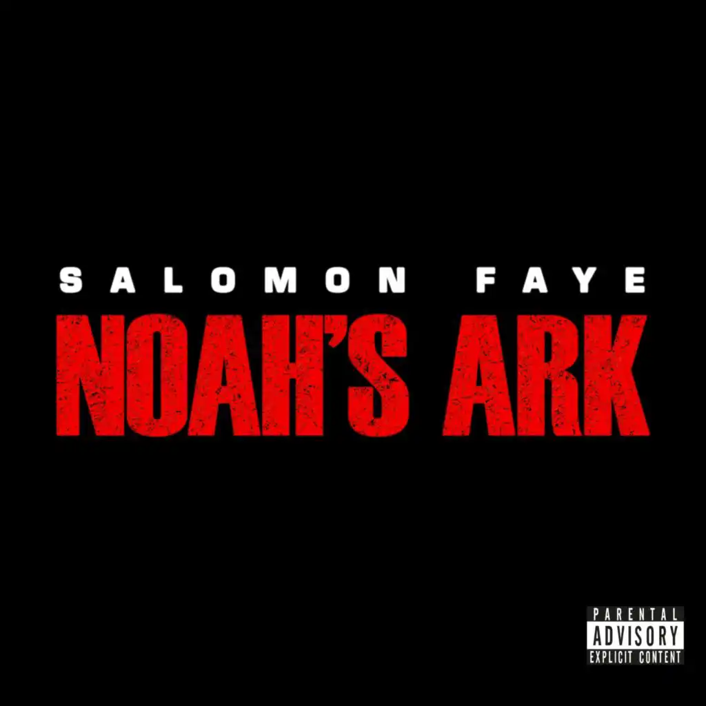 Salomon Faye