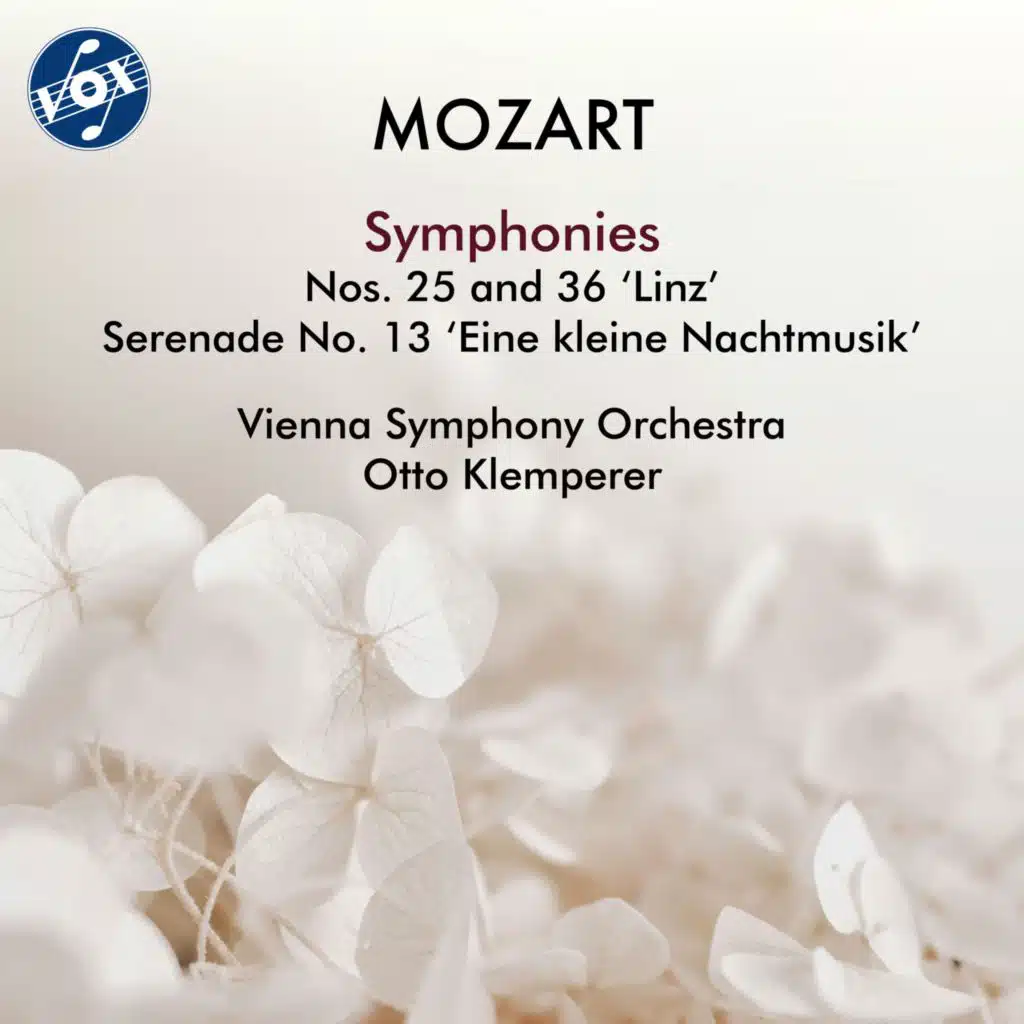 Symphony No. 25 in G Minor, K. 183: I. Allegro con brio (Remastered 2025)