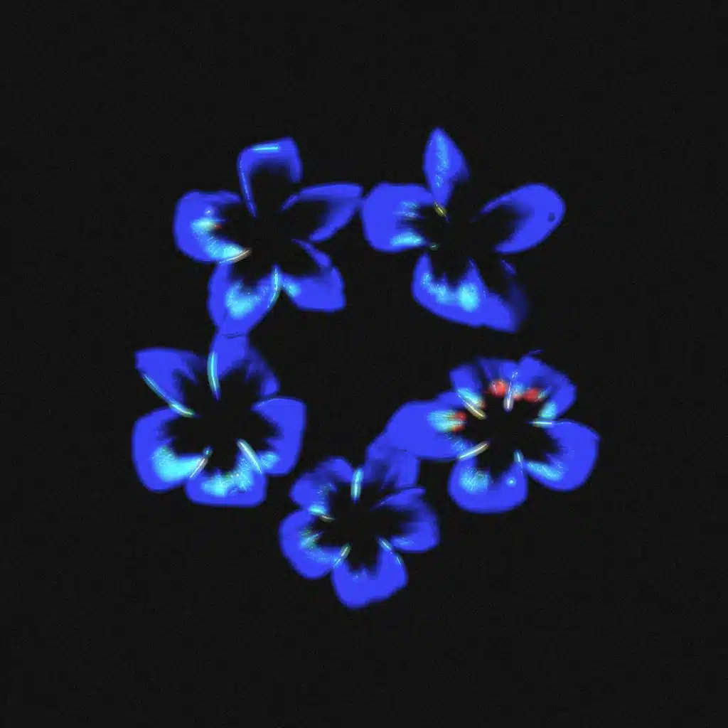 600202 (Cuidado) [feat. Niko]