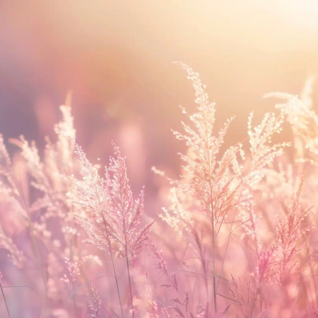 Calming Harmonies for Relaxation Time