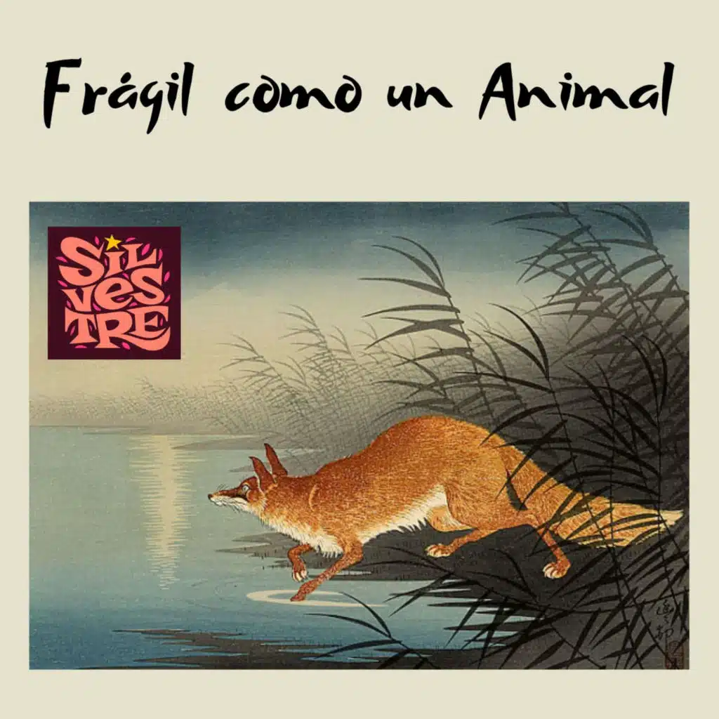 Frágil como un animal