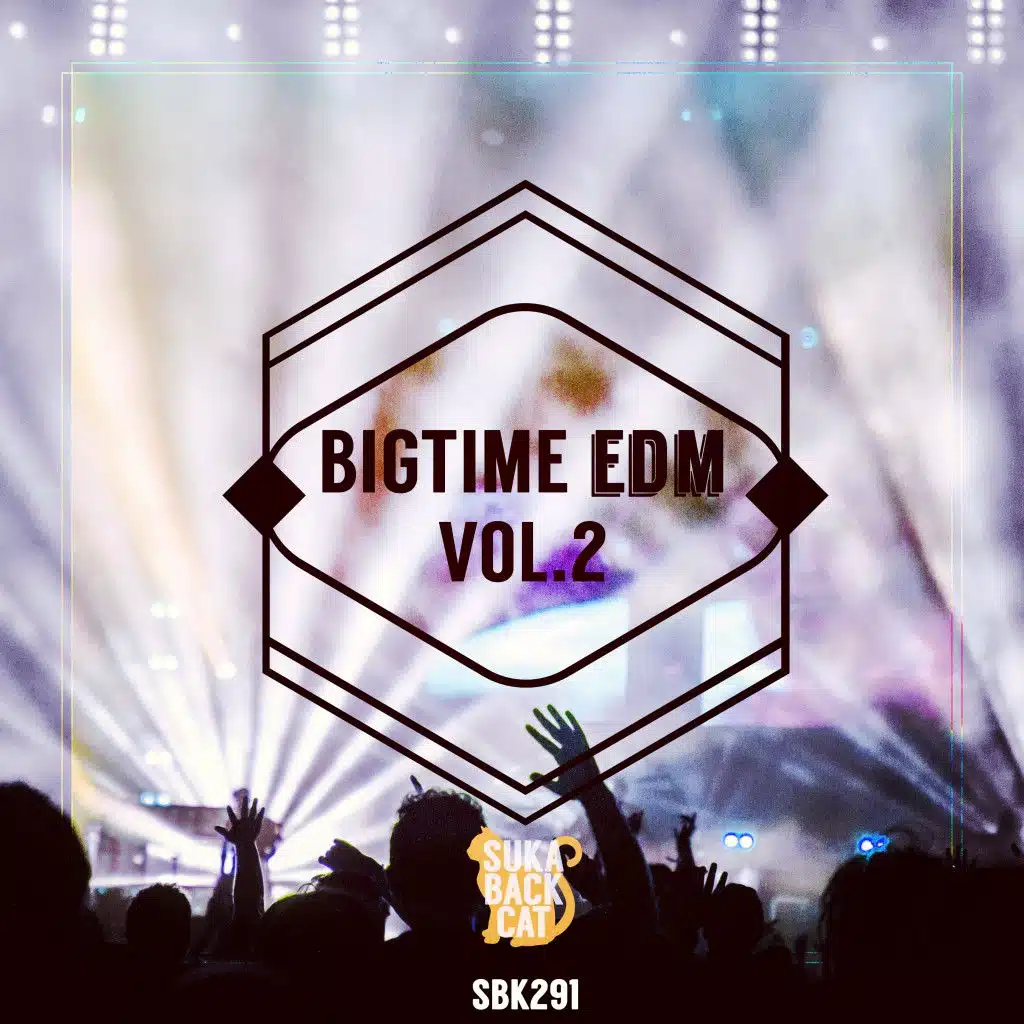 Bigtime EDM, Vol. 2
