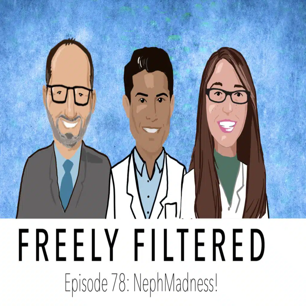 FF 78 NephMadness, the dialysis region