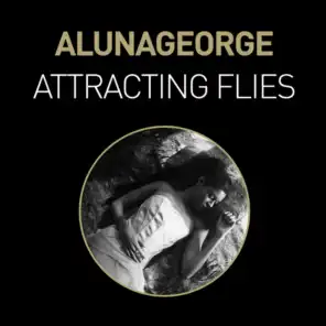 Attracting Flies (Remixes)