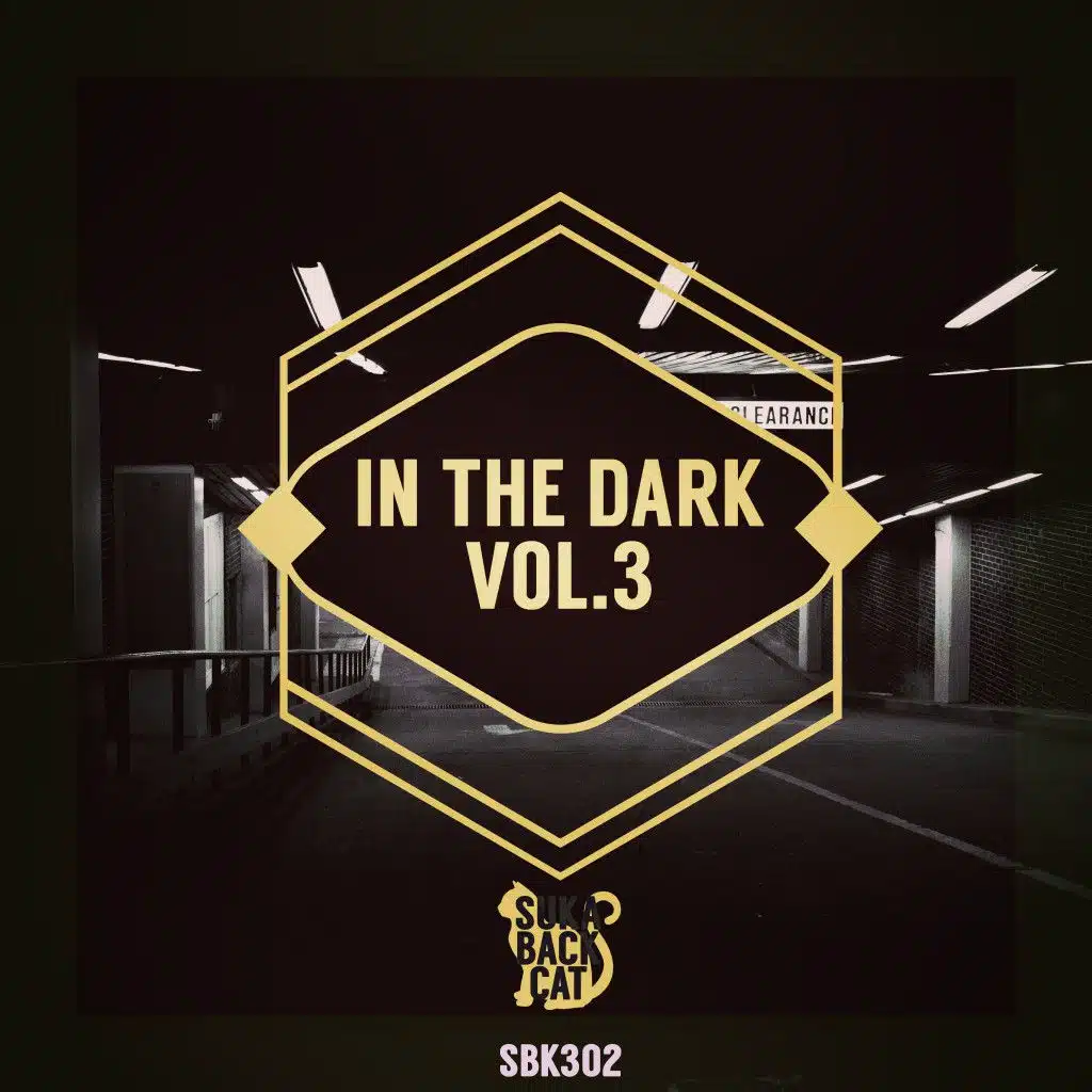In the Dark, Vol. 3