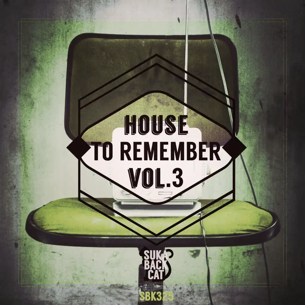 House to Remember, Vol. 3