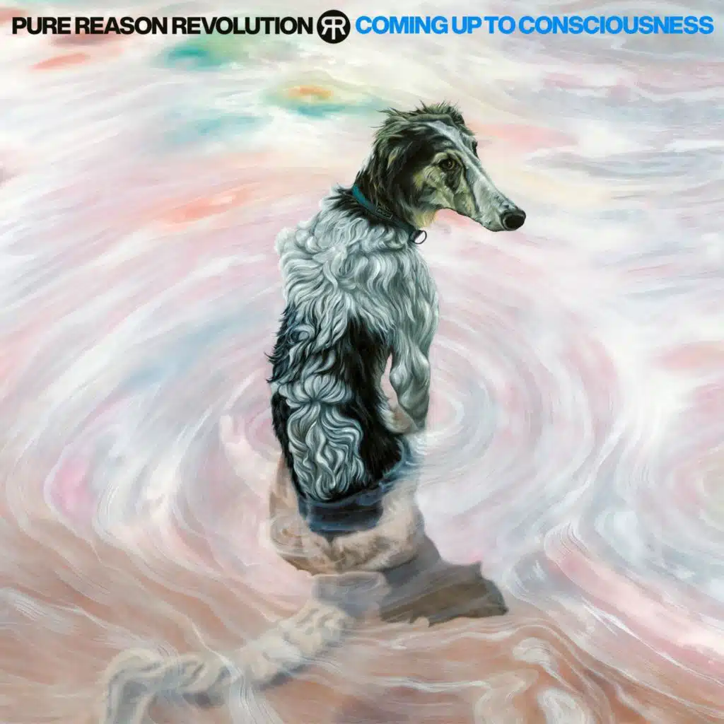 Coming Up To Consciousness (Deluxe Edition)