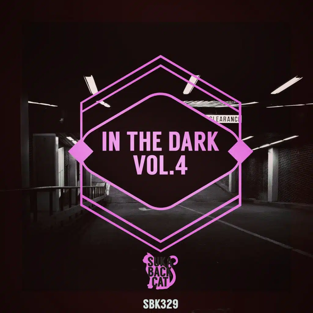 In the Dark, Vol. 4